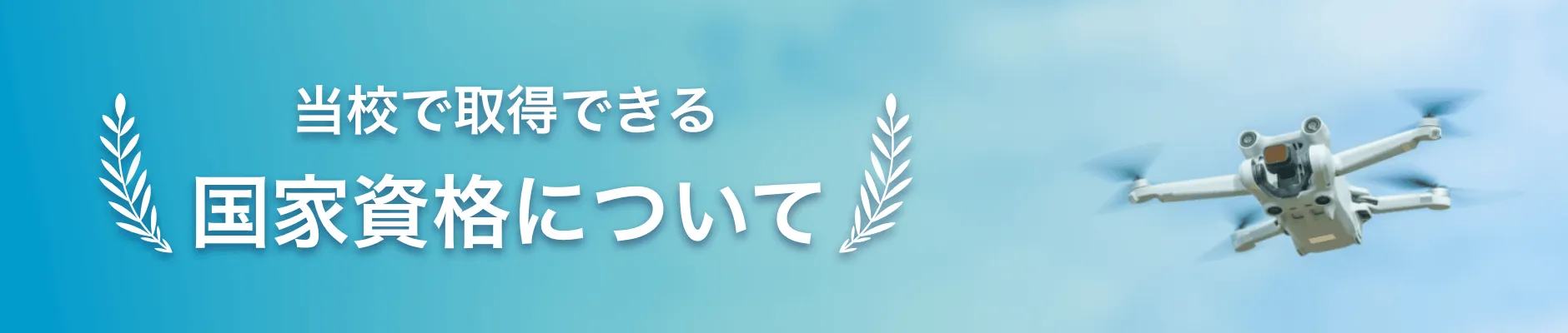 国家資格について